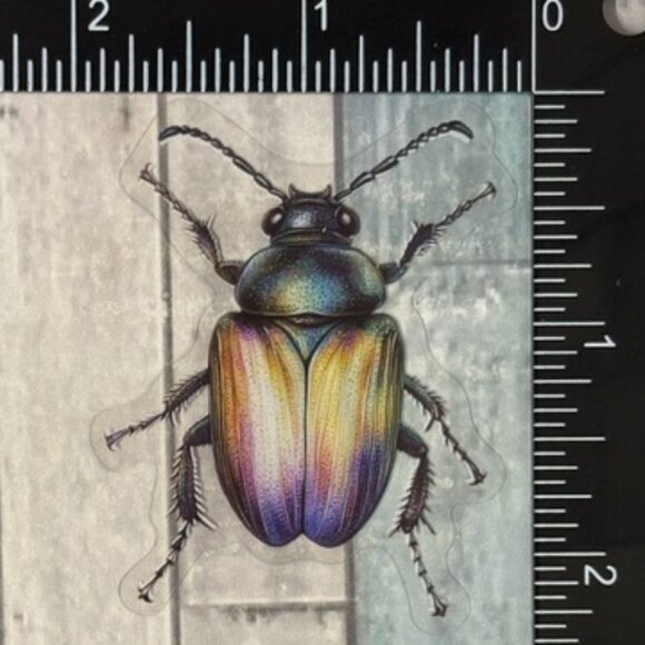 ๐10/$10๐ Translucent Moth Dragonfly Beetle Reusable Waterproof Sticker Decal - Picture 1 of 1